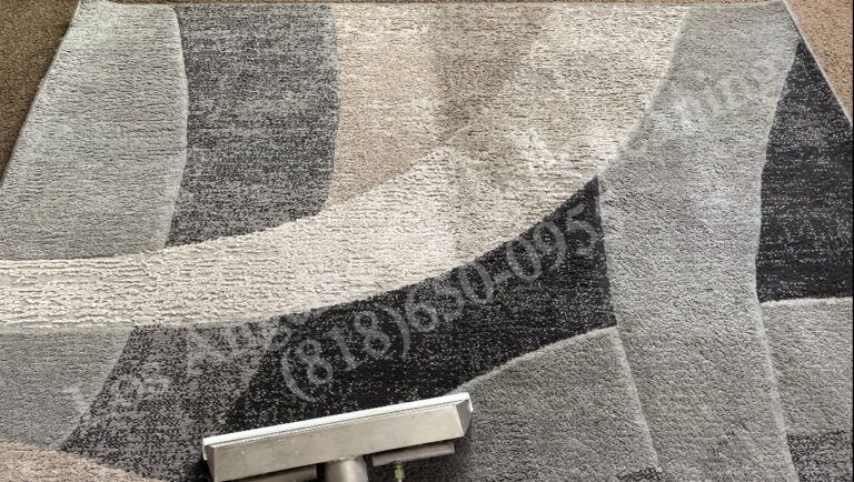 Area Rug Cleaning Halfway Through