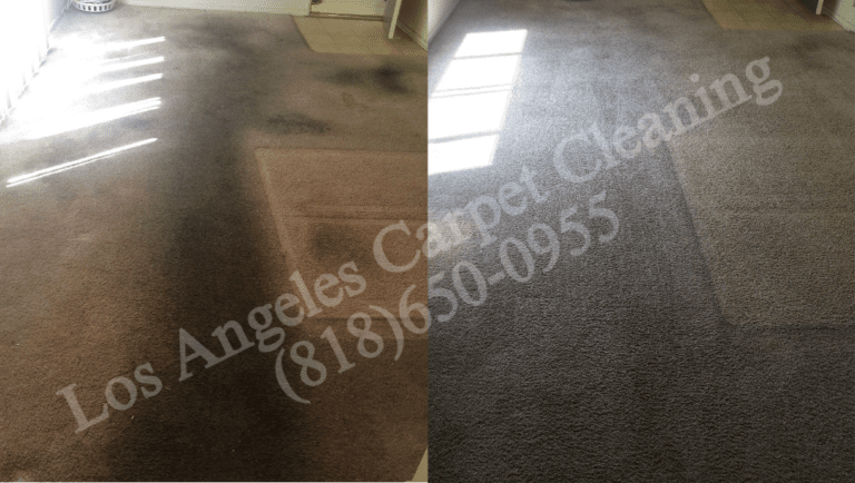 Heavily Soiled Carpet Cleaning in Living Area