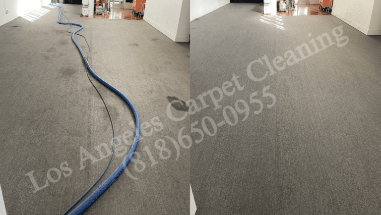Carpet Cleaning for Living Room Area