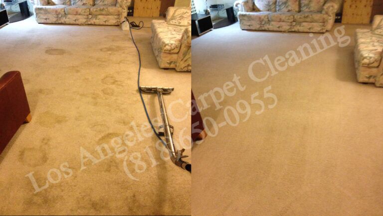 Soiled Living Room Carpet Cleaning