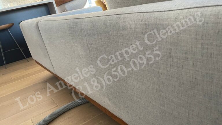 Close Up of Upholstery Couch Cleaning