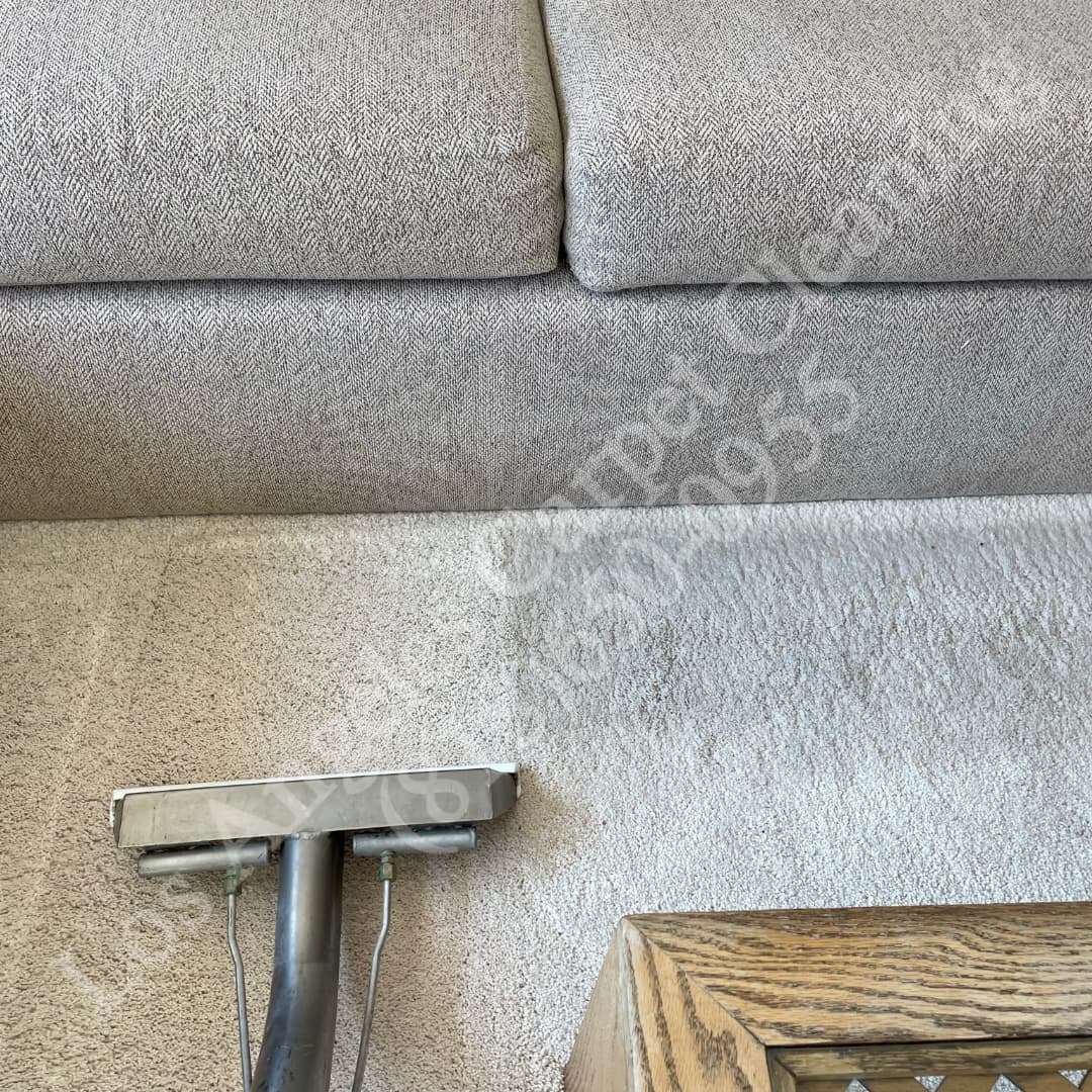 Universal City Carpet Cleaning Universal City Carpet Cleaning