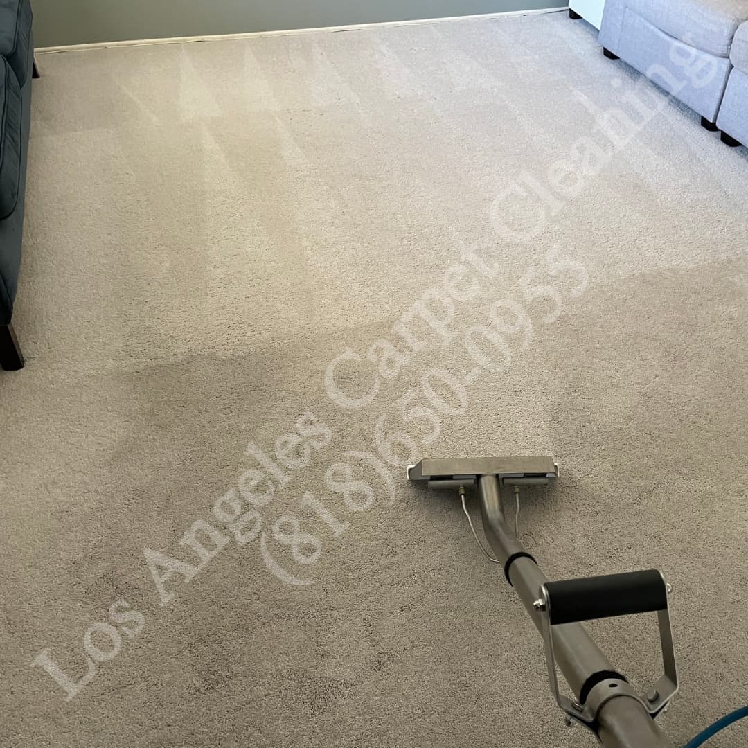 Beverly Hills Carpet Cleaning Carpet cleaning in a living room in Beverly Hills, Los Angeles