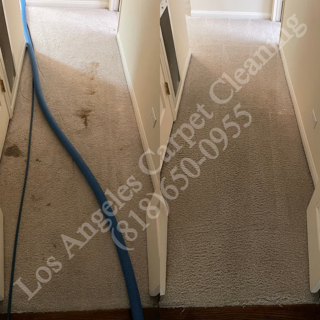 West Hills Carpet Cleaning Carpet Cleaning in a hallway before and after in West Hills, Los Angeles