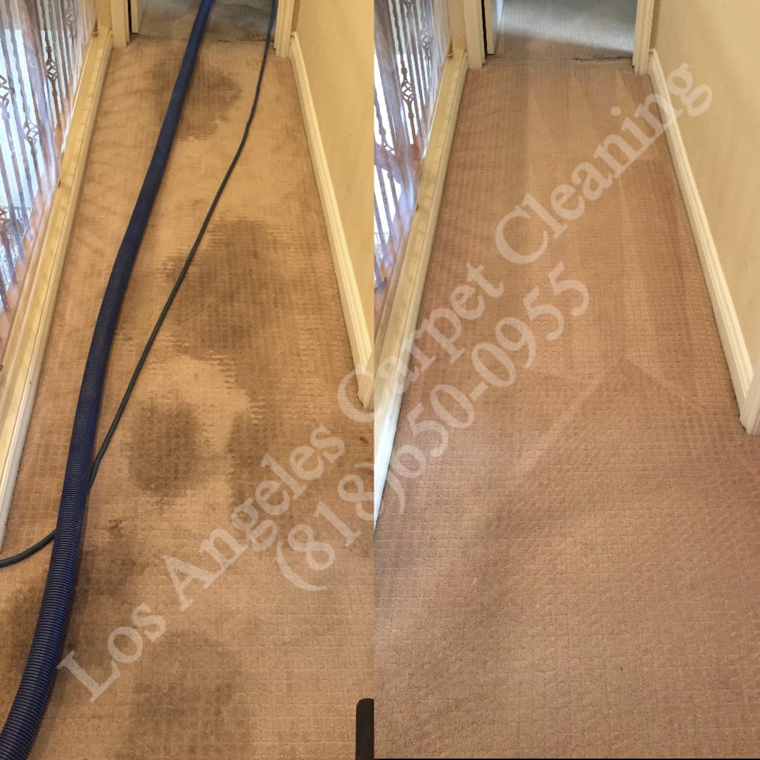 Chatsworth Carpet Cleaning Carpet Cleaning in Chatsworth