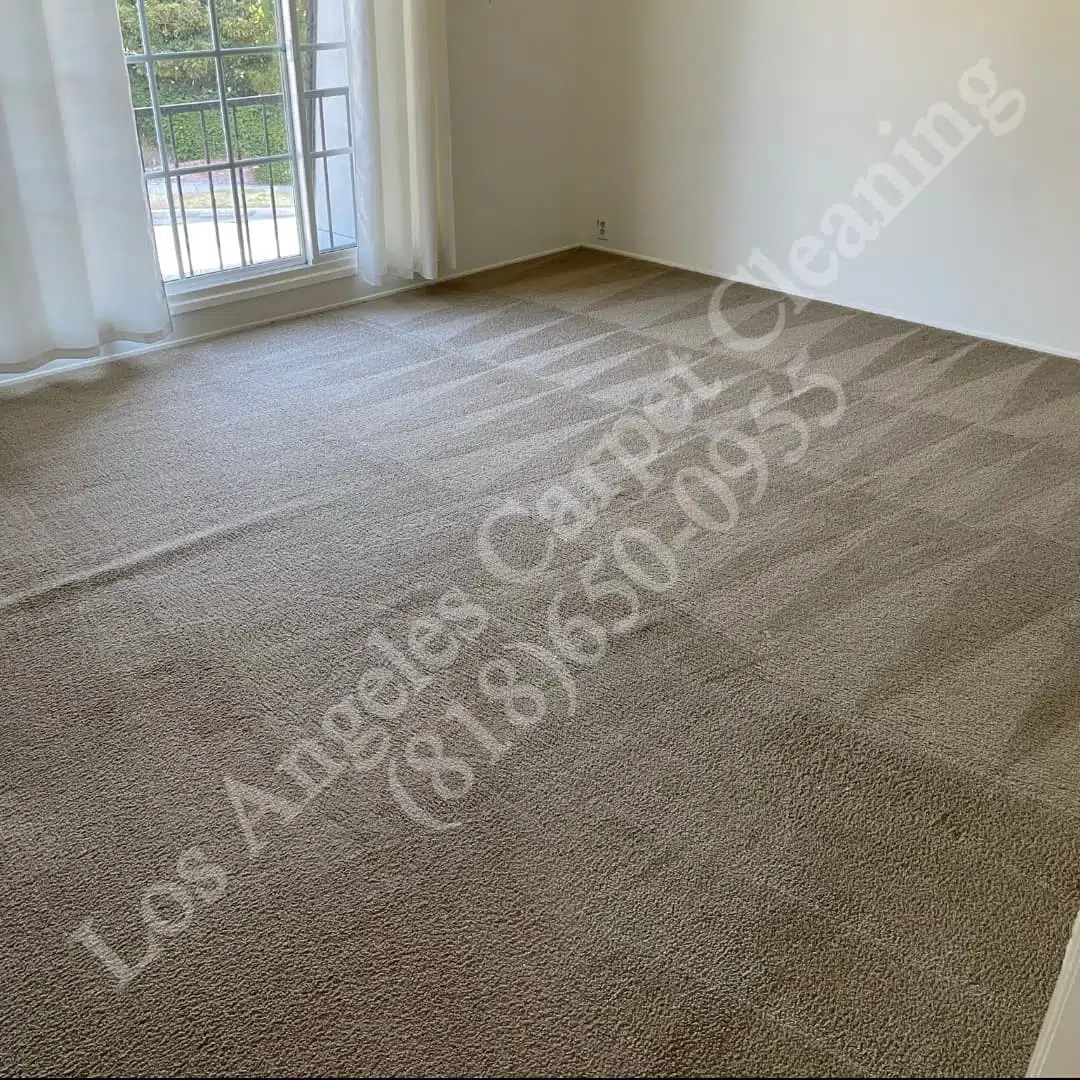 Marina-Del-Rey-Carpet-Cleaning.jpg Marina Del Rey Carpet Cleaning