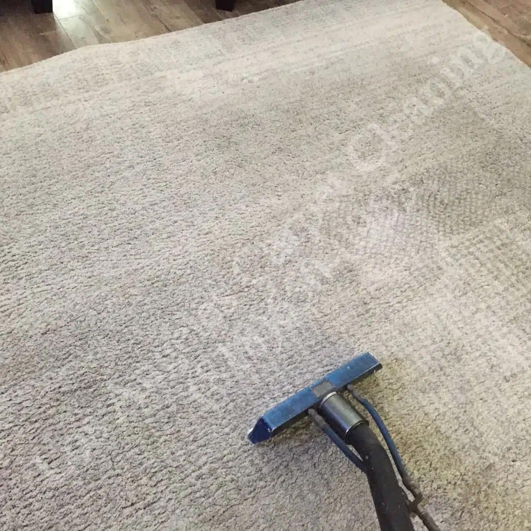 North-Hollywood-Area-Rug-Cleaning.jpg Van Nuys Area Rug Cleaning