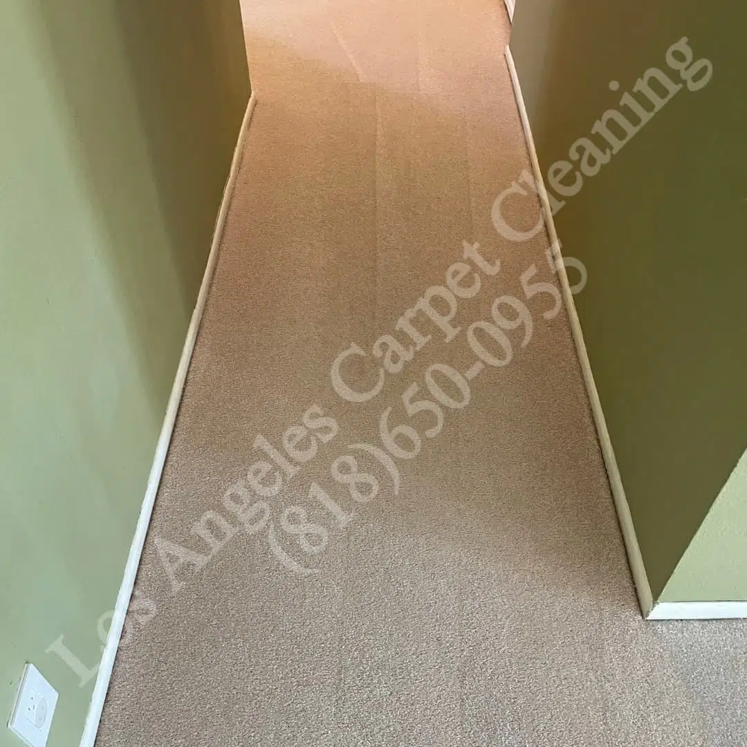 Northridge-Carpet-Cleaning.jpg Northridge Carpet Cleaning
