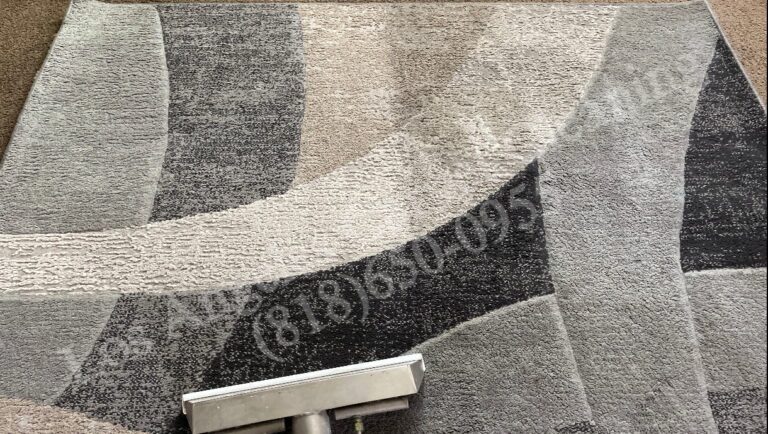 Area Rug Cleaning Halfway Through