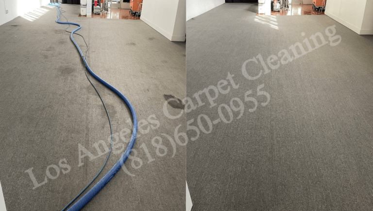Carpet Cleaning for Living Room Area