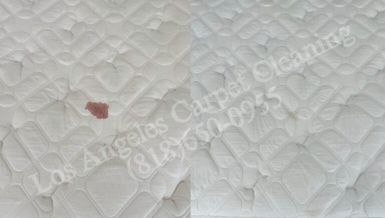 Stain Removal on a Mattress Cleaning