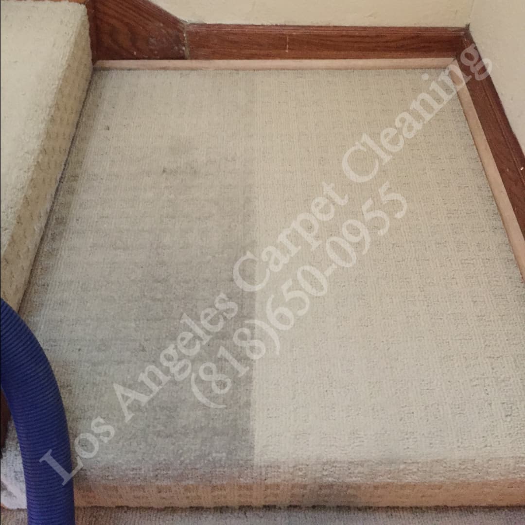 Canoga Park Carpet Cleaning