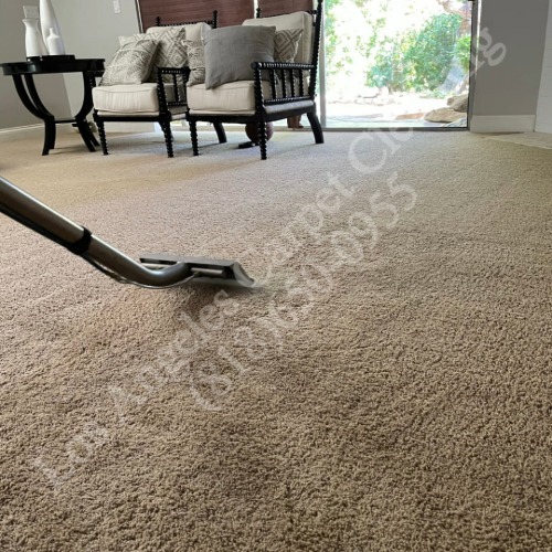 Steam Carpet Cleaning in Living Room